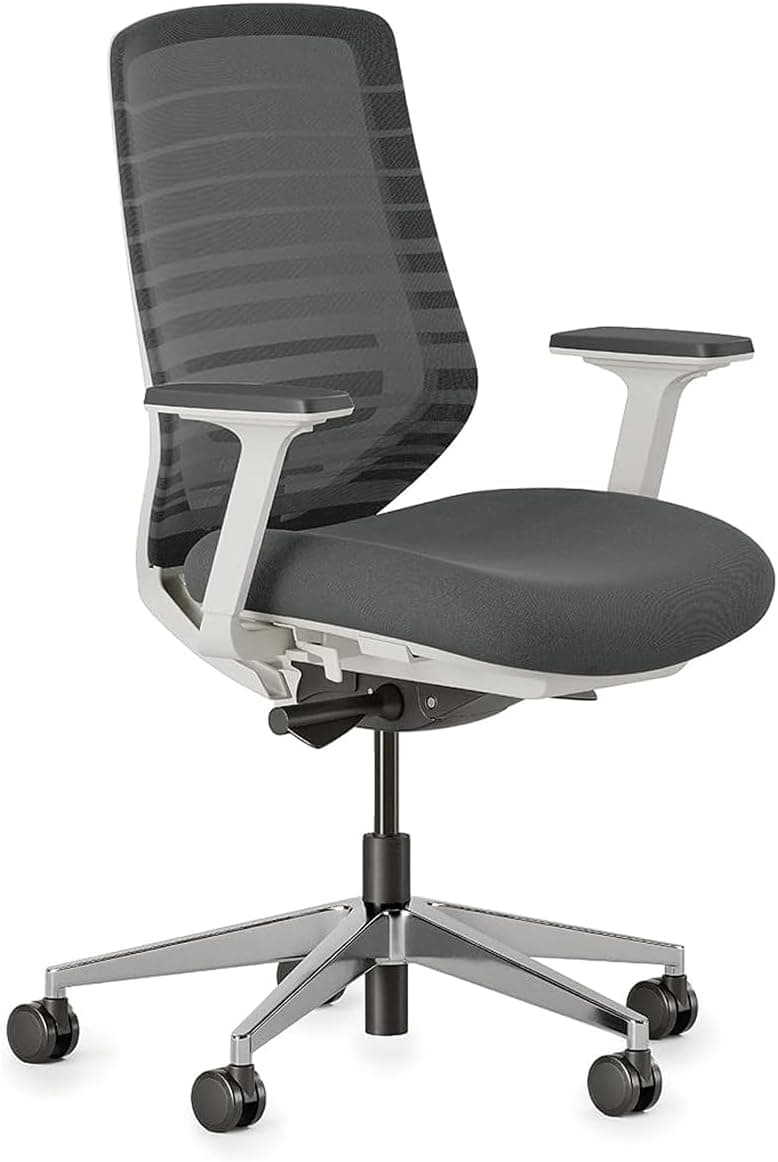 Branch Ergonomic Chair