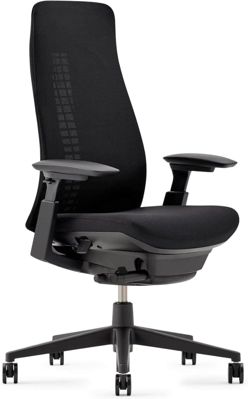  Haworth Fern Ergonomic Office Chair