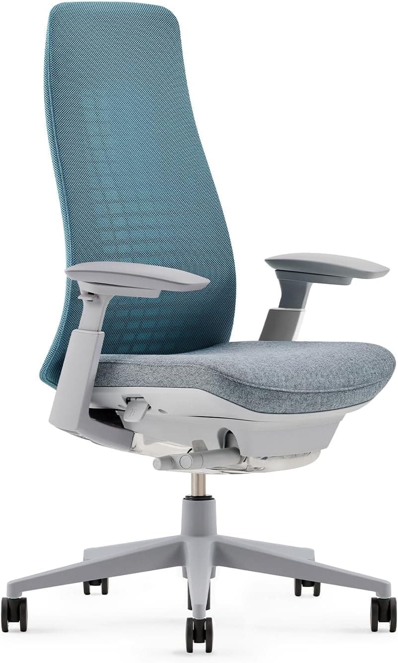 Haworth Fern Ergonomic Office Chair